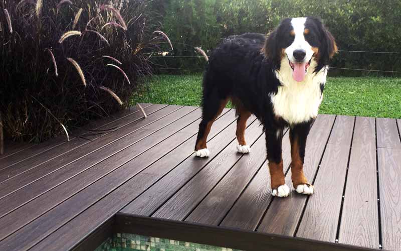 deck ecologico